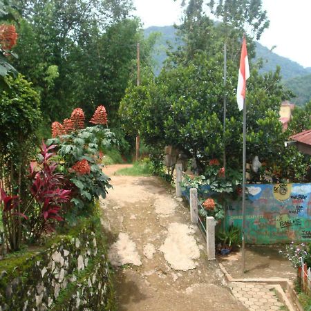 Se'pon Homestay Makale Exterior foto