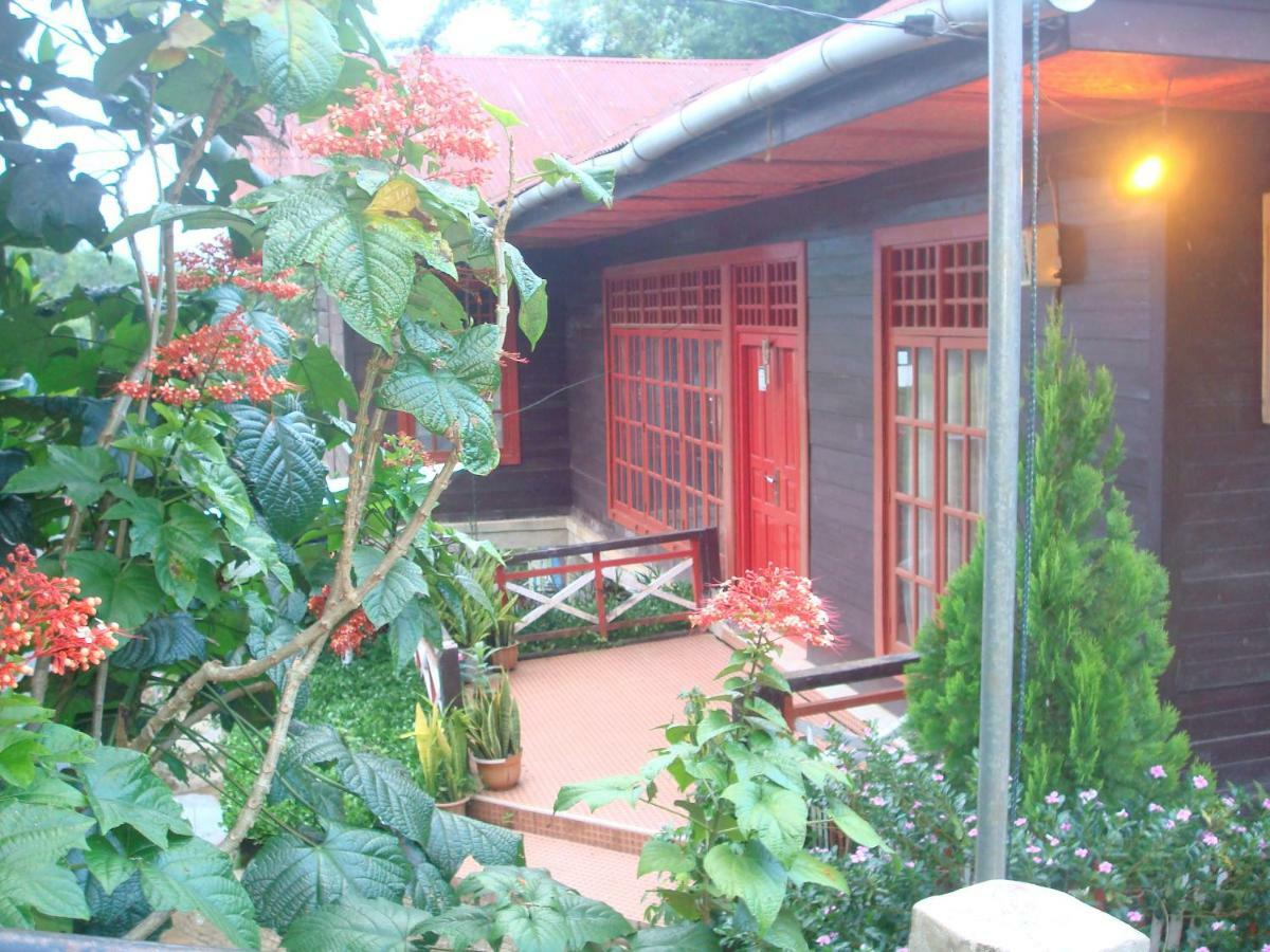 Se'pon Homestay Makale Exterior foto